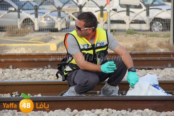 dahs lud 01121 (6).JPG